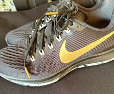 Nike Zoom Pegasus 34 black