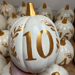 Pumpkin Table Numbers