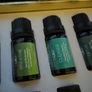 essential oils Image 4