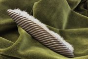 Brass Clothes Brush