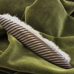 Brass Clothes Brush