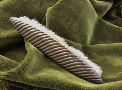 Brass Clothes Brush