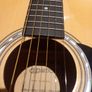 guitar - new hobby? Image 10