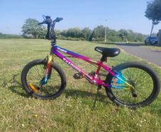 20 inch Verve BMX metallic rainbow bikr