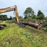 Tree felling Image 10