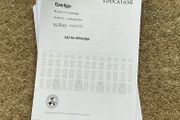 Leaving Cert Irish Institute Notes