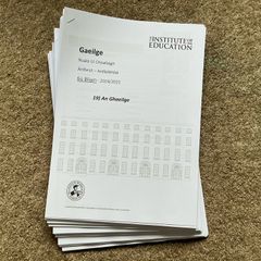 Leaving Cert Irish Institute Notes