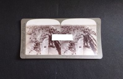 Royal Munster Fusiliers : Boer War : Stereoscopic Photo Card 1900s