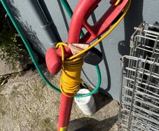 free strimmer toilets and sink