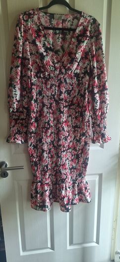 Coast V- Neck Floral Dress.