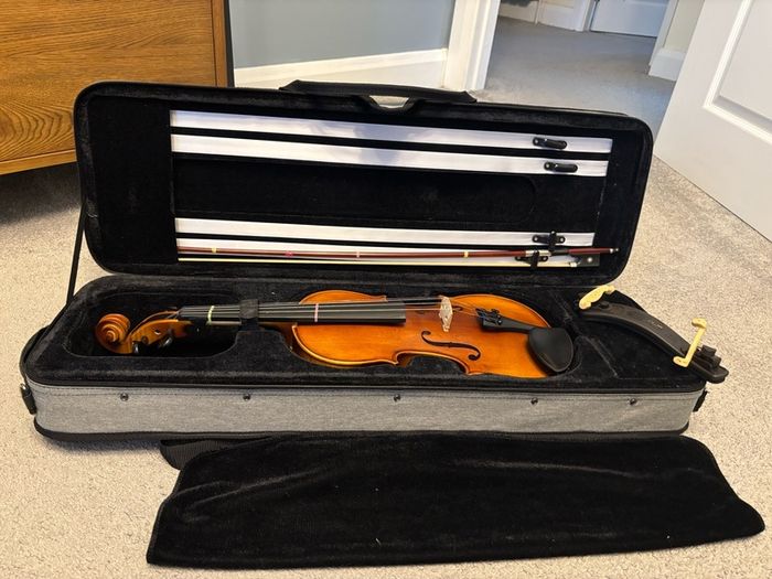 violins