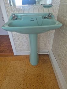castiron bathroom mid century modern