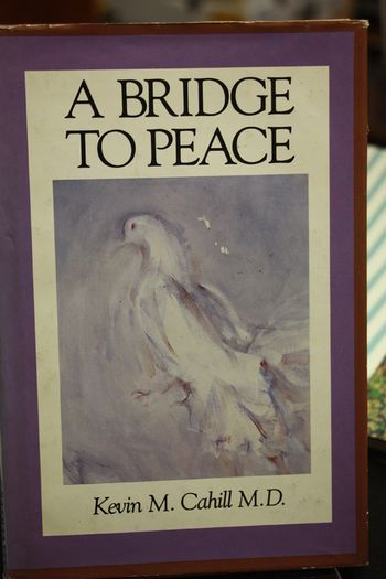 A Bridge to Peace