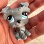 Hasbro Grey Schnauzer Littlest Pet Shop Dog 1393 approx. 5 cm. Used Please see photos Image 10