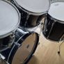 Pearl Pro Export Shell Image 4