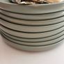 Salad plates Image 2