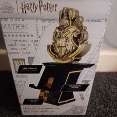 Harry Potter light display