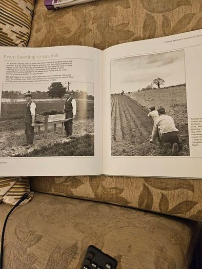 Forest Images. Fr Browne's Woodland Photographs From Emo Court Co Laois. Fabolous FIRST EDITION Large Volume Hardback In Good Condition.  See Photos For Same.