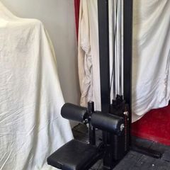 Lat pulldown & Low Row pulley machine