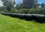 45 bales of silage