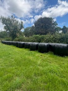 45 bales of silage