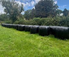 45 bales of silage