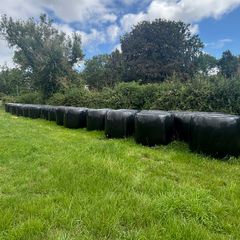 45 bales of silage