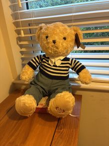 Paul Costelloe Living Teddy Bear
