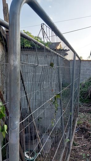 Harris fence panels