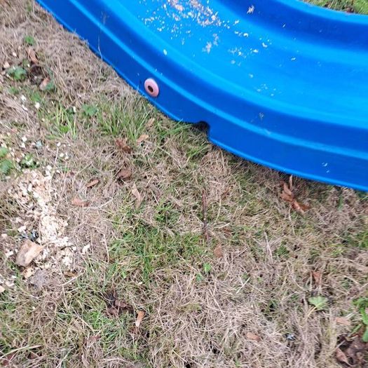 Free slide