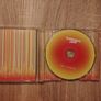 Basement Jaxx (The Singles) Image 4