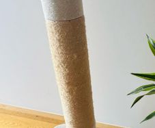 cat scratcher