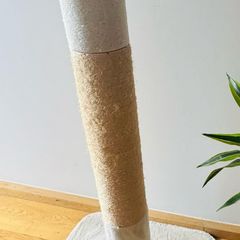 cat scratcher