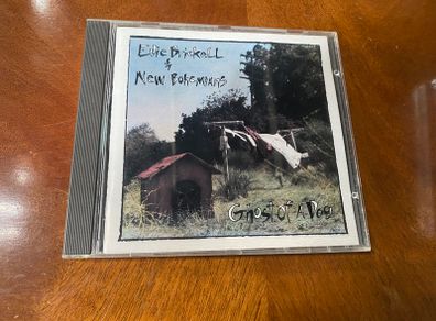 Edie Brickell & New Bohemians Ghost of a Dog CD