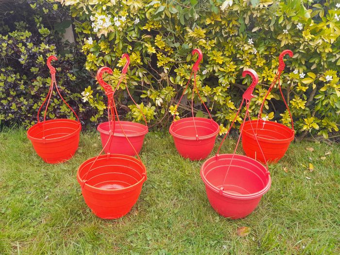 6 x Strawberry tomato hanging planters