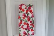 ladies dress