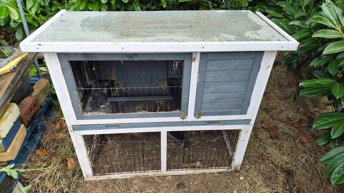 Rabbit hutch