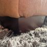 Laura Ashley Leather Sofa Bed Image 10