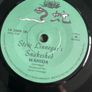 Steve linnegars snakeshed. Samurai Sunset picture sleeve vinyl record single in vg+ condition Image 3