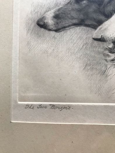 The Two Borzois