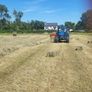 Square bales hay Image 5