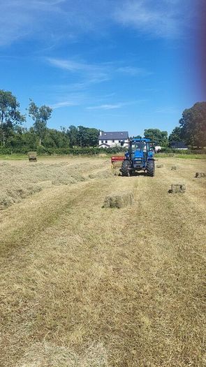 Square bales hay