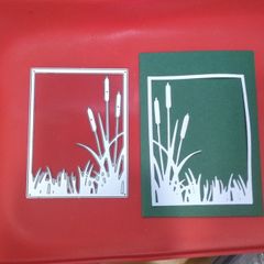 Bullrush Framing Cutting Die