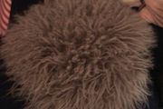 Seat Cushion, Luxurious Fur Chair Pad Super Soft Car Seat Cover Non-Slip Natural Wool Rugs Office Desk Chair Stool Cushion
