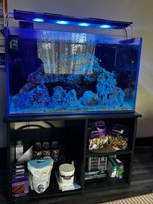 Marine aquarium set up 250L