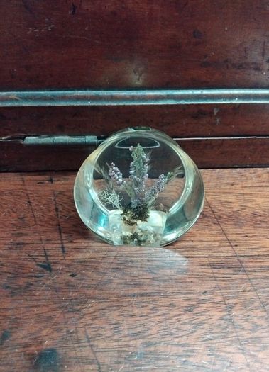 Vintage Irish paper weight