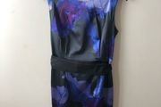 Coast dress (size 16)