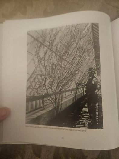 Father Browne's Laois. By E. E. O'donnell. First Edition Large Volume Hardback With Dustjacket In Good Condition.  See Photos For Same.