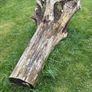 free wood Image 2