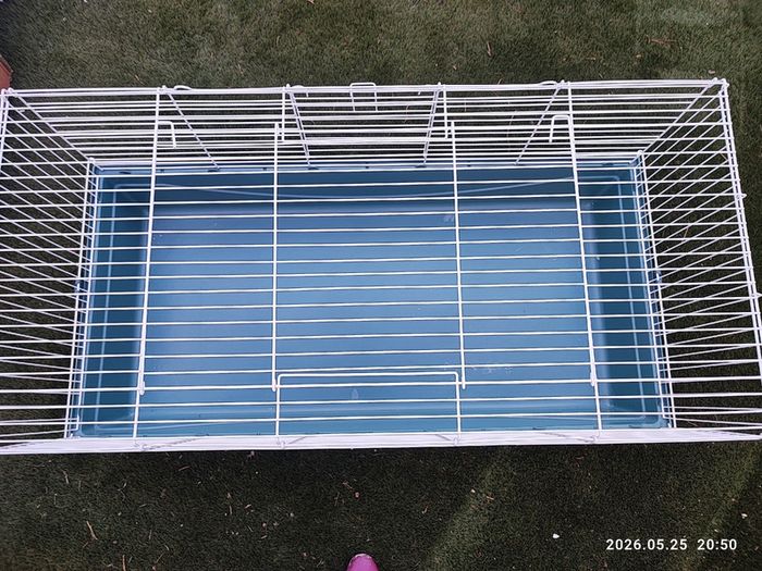 Cage